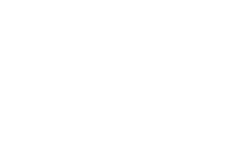 World Craft Council World Craft Council
